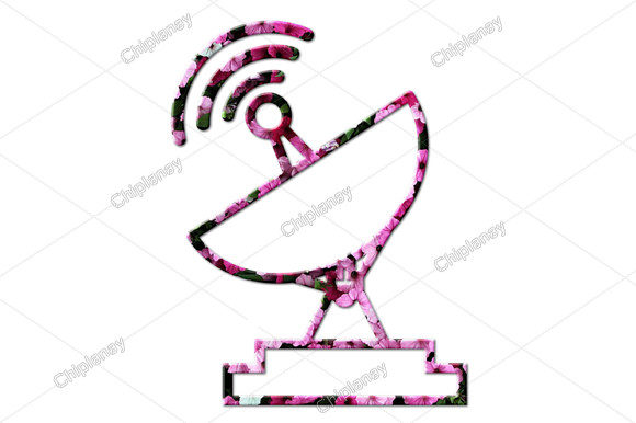 Discover the Versatility of Satellite Antenna Flowers Floral