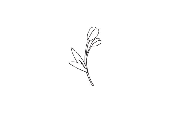 Floral Nature Vectors for Creative Design